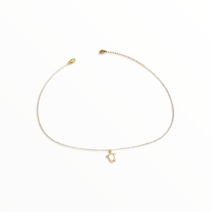 Collar Sea
