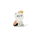 CHARM GATO